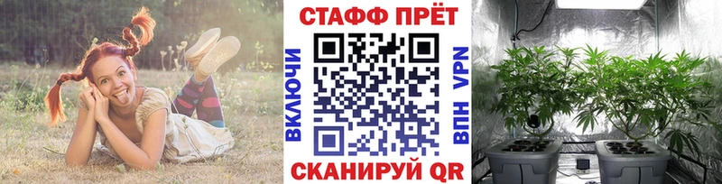 Купить Псилоцибиновые грибы  Канабис  A-PVP  Гашиш  Меф  COCAIN  Суджа