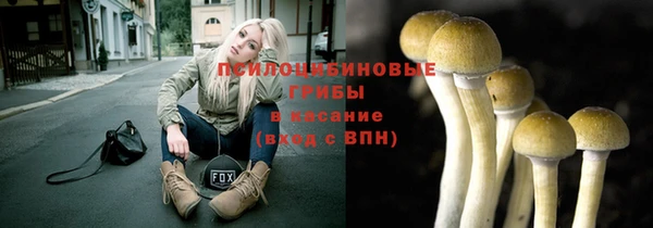 хмурый Баксан