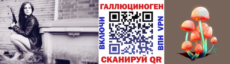 Псилоцибиновые грибы Psilocybe  Купить закладки  Суджа 