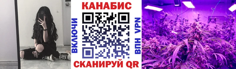 Купить закладки Суджа Шишки марихуана марихуана